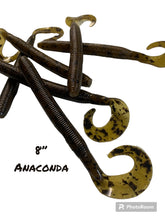 Load image into Gallery viewer, 8” Anaconda Worm